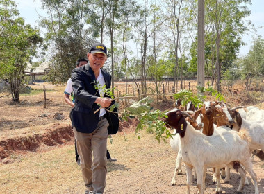 ศูนย์ขยายพันธุ์แพะ สหกรณ์การเกษตรด่านขุนทด จำกัด พารามิเตอร์รูปภาพ 1