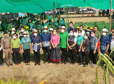 วันถ่ายทอดเทคโนโลยีเพื่อเริ่มต้นฤดูผลิตใหม่ ​(Field Day) ... พารามิเตอร์รูปภาพ 2