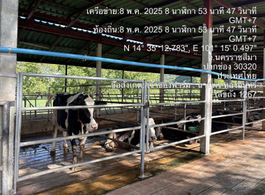 “สกจ.โคราช จัดทีมลงพื้นที่” ... พารามิเตอร์รูปภาพ 4