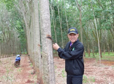 ลงพื้นที่ตรวจเยี่ยมการดำเนินงานของ ... พารามิเตอร์รูปภาพ 6