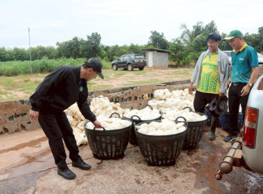 ลงพื้นที่ตรวจเยี่ยมการดำเนินงานของ ... พารามิเตอร์รูปภาพ 2