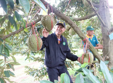 สหกรณ์โคราช ลงพื้นที่ตรวจเยี่ยมการดำเนินธุรกิจ ... พารามิเตอร์รูปภาพ 2