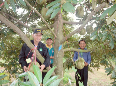 สหกรณ์โคราช ลงพื้นที่ตรวจเยี่ยมการดำเนินธุรกิจ ... พารามิเตอร์รูปภาพ 3