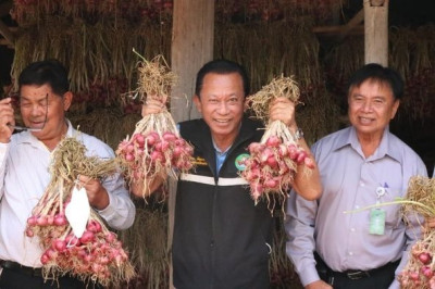 ลงพื้นที่เยี่ยมเยียนสมาชิกผู้ปลูกหอมแดง และคะน้า ... พารามิเตอร์รูปภาพ 1