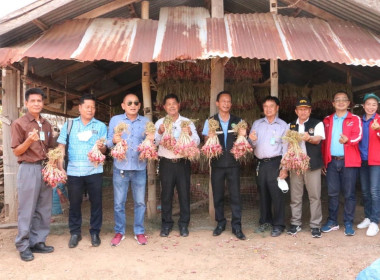 ลงพื้นที่เยี่ยมเยียนสมาชิกผู้ปลูกหอมแดง และคะน้า ... พารามิเตอร์รูปภาพ 1