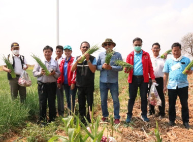 ลงพื้นที่เยี่ยมเยียนสมาชิกผู้ปลูกหอมแดง และคะน้า ... พารามิเตอร์รูปภาพ 2