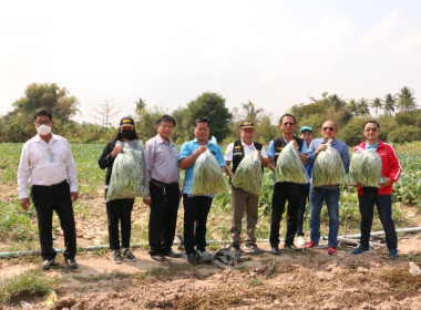 ลงพื้นที่เยี่ยมเยียนสมาชิกผู้ปลูกหอมแดง และคะน้า ... พารามิเตอร์รูปภาพ 3