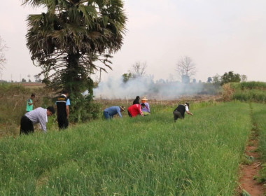 ลงพื้นที่เยี่ยมเยียนสมาชิกผู้ปลูกหอมแดง และคะน้า ... พารามิเตอร์รูปภาพ 7