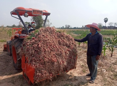 ลงพื้นที่เยี่ยมเยียนสมาชิกผู้ปลูกหอมแดง และคะน้า ... พารามิเตอร์รูปภาพ 8