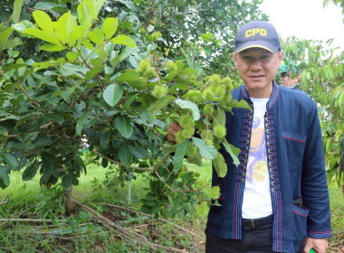 คัดเลือกสหกรณ์และกลุ่มเกษตรกรต้นแบบที่น้อมนำหลักปรัชญาของเศรษฐกิจพอเพียงไปประยุกต์ใช้ ... พารามิเตอร์รูปภาพ 3