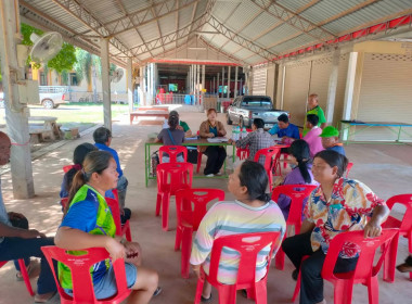 ตรวจเยี่ยม แนะนำ การจัดทำบัญชี ... พารามิเตอร์รูปภาพ 1