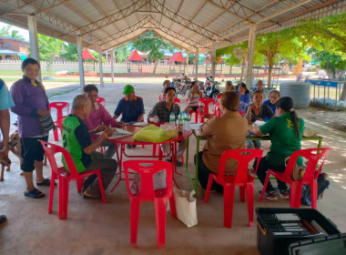 ตรวจเยี่ยม แนะนำ การจัดทำบัญชี ... พารามิเตอร์รูปภาพ 2