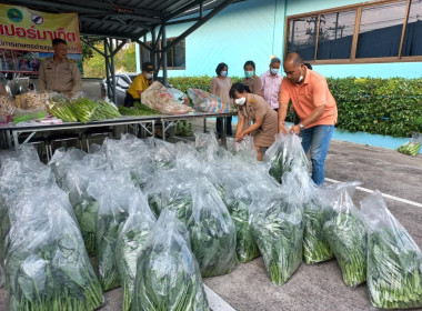 กระจายผลผลิตทางการเกษตรของสมาชิกสหกรณ์สู่ผู้บริโภค พารามิเตอร์รูปภาพ 2