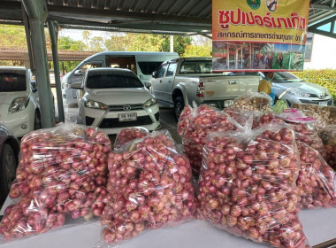 กระจายผลผลิตทางการเกษตรของสมาชิกสหกรณ์สู่ผู้บริโภค พารามิเตอร์รูปภาพ 3