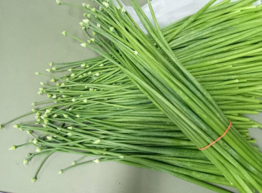 กระจายผลผลิตทางการเกษตรของสมาชิกสหกรณ์สู่ผู้บริโภค พารามิเตอร์รูปภาพ 4