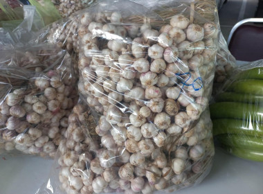 กระจายผลผลิตทางการเกษตรของสมาชิกสหกรณ์สู่ผู้บริโภค พารามิเตอร์รูปภาพ 5