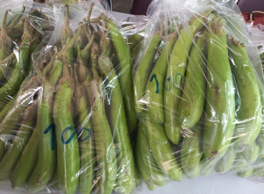 กระจายผลผลิตทางการเกษตรของสมาชิกสหกรณ์สู่ผู้บริโภค พารามิเตอร์รูปภาพ 6