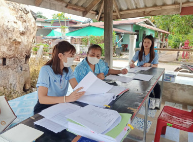 ตรวจเยี่ยม แนะนำ ส่งเสริม ... พารามิเตอร์รูปภาพ 2