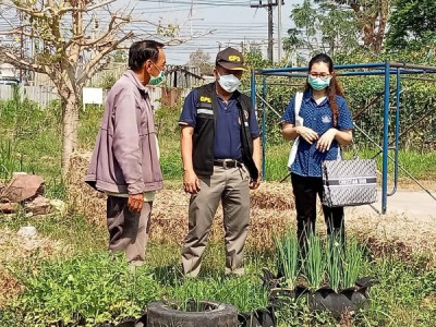 โครงการนำลูกหลานเกษตรกรกลับบ้าน สานต่ออาชีพการเกษตร พารามิเตอร์รูปภาพ 1