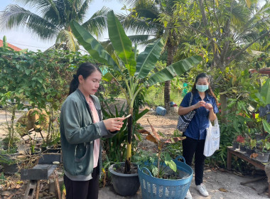 โครงการนำลูกหลานเกษตรกรกลับบ้าน สานต่ออาชีพการเกษตร พารามิเตอร์รูปภาพ 4