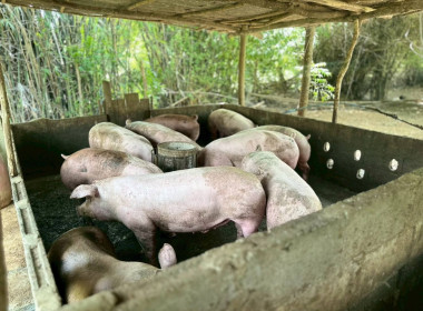 ส่งเสริมพัฒนาอาชีพ เพื่อสร้างรายได้ที่ยั่งยืน ... พารามิเตอร์รูปภาพ 6