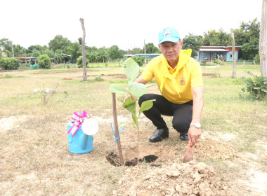 กิจกรรมโครงการจิตอาสาพัฒนา “ปลูกต้นไม้และปล่อยปลา พารามิเตอร์รูปภาพ 2