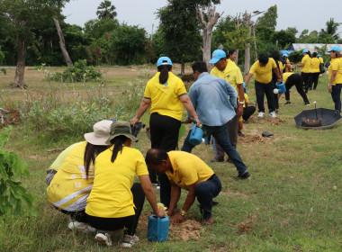 กิจกรรมโครงการจิตอาสาพัฒนา “ปลูกต้นไม้และปล่อยปลา พารามิเตอร์รูปภาพ 4