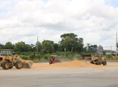 ติดตามการใช้ประโยชน์อุปกรณ์การตลาด สหกรณ์การเกษตรปักธงชัย ... พารามิเตอร์รูปภาพ 6