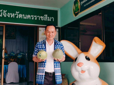 COOPKORAT ร่วมขับเคลื่อนตลาดส้มโอสูงเนิน ... พารามิเตอร์รูปภาพ 1