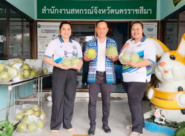 COOPKORAT ร่วมขับเคลื่อนตลาดส้มโอสูงเนิน ... พารามิเตอร์รูปภาพ 2