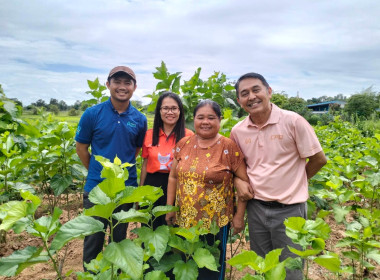 ต่อยอด..ผ้าไหมคึมมะอุบัวลาย GI สร้างรายได้ยั่งยืน พารามิเตอร์รูปภาพ 4