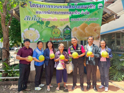 “ข้าว-ส้มโอ” เดินหน้า สหกรณ์การเกษตรสูงเนิน จำกัด พารามิเตอร์รูปภาพ 1