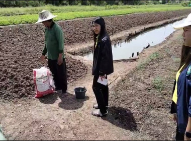 ดินดี ผลผลิตงอกงาม สารปรับสภาพดิน (หินภูเขาไฟ) พารามิเตอร์รูปภาพ 1