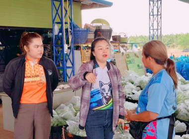 เร่งกระจายกล้วยหอมทอง หนุนช่วย ... พารามิเตอร์รูปภาพ 6