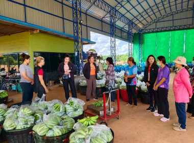 เร่งกระจายกล้วยหอมทอง หนุนช่วย ... พารามิเตอร์รูปภาพ 3