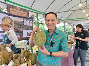 งานแถลงข่าว เปิดตัวทุเรียนโคราช 2569 พารามิเตอร์รูปภาพ 4