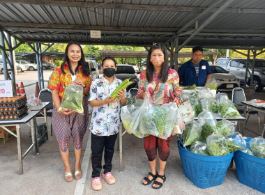 กระจายผลผลิตทางการเกษตรของสมาชิกสหกรณ์ สู่ผู้บริโภค พารามิเตอร์รูปภาพ 6