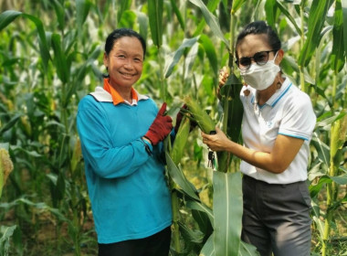 ประชุมประจำเดือนสหกรณ์การเกษตรขามทะเลสอ จำกัด พารามิเตอร์รูปภาพ 3