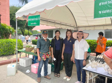 กระจายผลผลิตทางการเกษตรของสมาชิกสหกรณ์สู่ผู้บริโภค พารามิเตอร์รูปภาพ 1