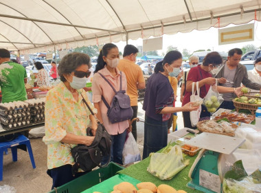 กระจายผลผลิตทางการเกษตรของสมาชิกสหกรณ์สู่ผู้บริโภค พารามิเตอร์รูปภาพ 3