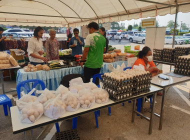 กระจายผลผลิตทางการเกษตรของสมาชิกสหกรณ์สู่ผู้บริโภค พารามิเตอร์รูปภาพ 4