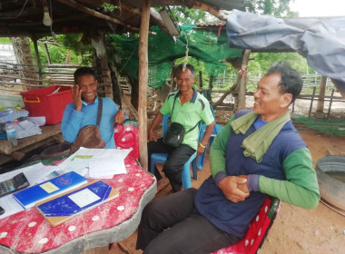 แนะนำ ส่งเสริมกลุ่มเกษตรกรทำไร่บึงปรือ พารามิเตอร์รูปภาพ 2