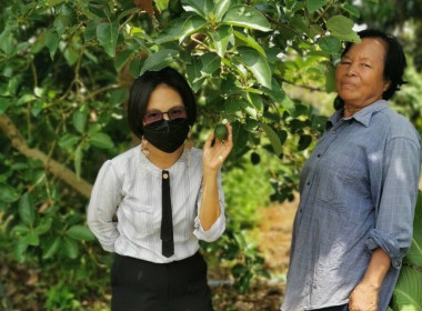แนะนำสหกรณ์​กสิกรรม​ไร้สารพิษในเขต​ปฏิรูป​ที่ดิน​อำเภอวังน้ำเขียว จำกัด ... พารามิเตอร์รูปภาพ 1