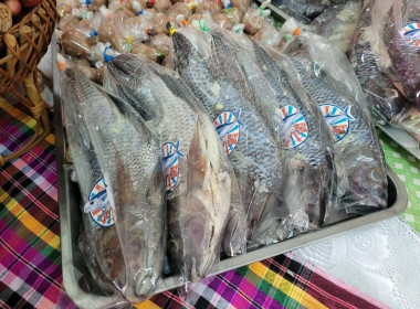 โครงการฝึกอบรมส่งเสริมและพัฒนาทักษะอาชีพให้กับสมาชิกนิคมฯ ... พารามิเตอร์รูปภาพ 7