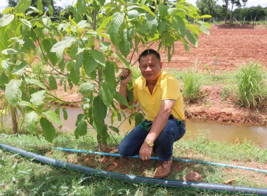 สหกรณ์โคราช ลงพื้นที่ติดตาม โครงการนำลูกหลานเกษตรกรกลับบ้าน ... พารามิเตอร์รูปภาพ 5