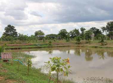 สหกรณ์โคราช ลงพื้นที่ติดตาม โครงการนำลูกหลานเกษตรกรกลับบ้าน ... พารามิเตอร์รูปภาพ 3