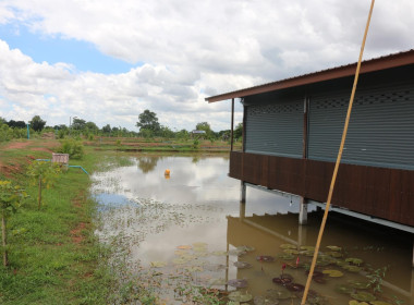 สหกรณ์โคราช ลงพื้นที่ติดตาม โครงการนำลูกหลานเกษตรกรกลับบ้าน ... พารามิเตอร์รูปภาพ 6