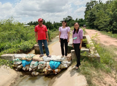 สหกรณ์ผู้ใช้น้ำด้วยไฟฟ้ารวมพลังหนองบัวรอง-หินโคน จำกัด พารามิเตอร์รูปภาพ 2