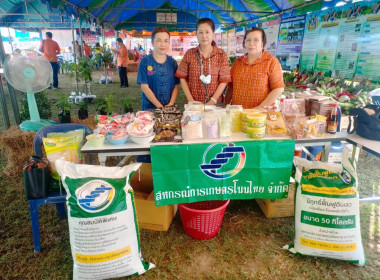 จังหวัดเคลื่อนที่ฯ อำเภอโนนไทย พารามิเตอร์รูปภาพ 3