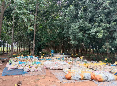 ตรวจแนะนำ จัดทำบัญชี กลุ่มเกษตรกรผู้ปลูกยาง พาราอำเภอพิมาย พารามิเตอร์รูปภาพ 3